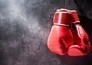 Boxe : Championnat du monde WBC