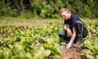 Mein Bauernhof, mein Leben - Ackern um jeden Preis?