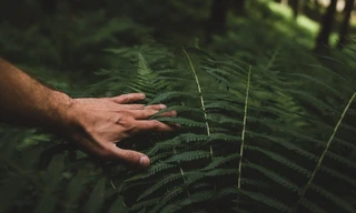 Naked and afraid
