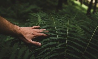 Naked and afraid
