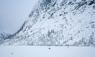Naturparadies Seefeld - Im Reich des Wanderfalken