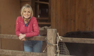 Onze boerderij: De oogst