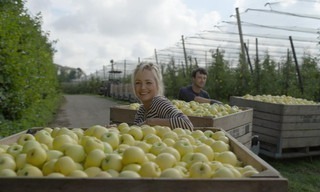 Onze boerderij: De oogst