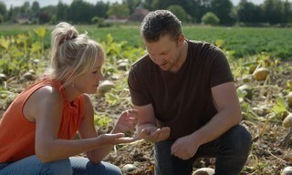Onze boerderij: De oogst