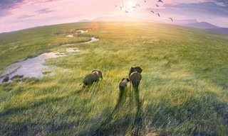 Planet Earth
