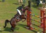 Paardensport: Global Champions Tour in Cannes