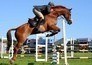 Sport im Westen live: Chio Aachen - Springreiten