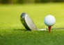 PGA Tour: The Cut