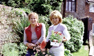 Rosemary & Thyme
