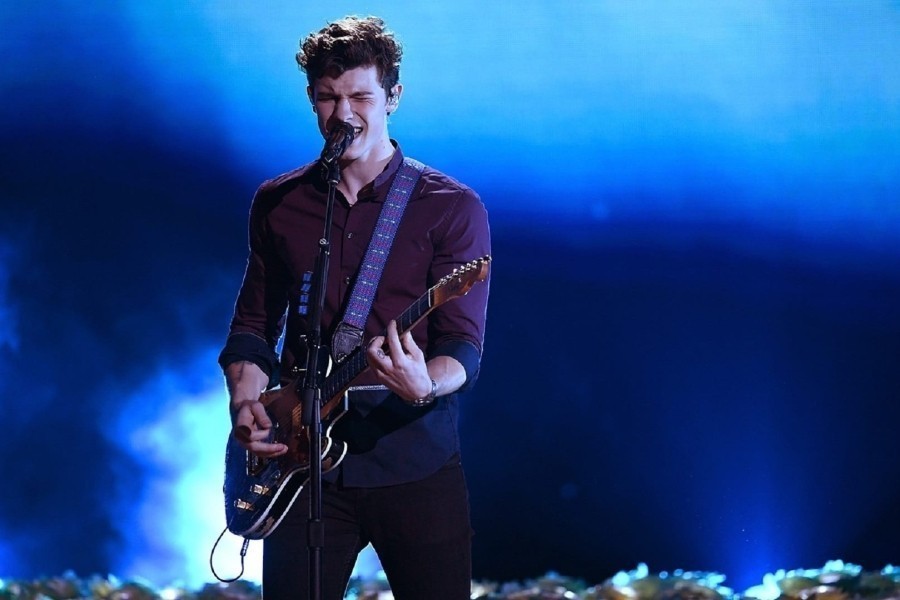 Shawn Mendes: Live in Concert