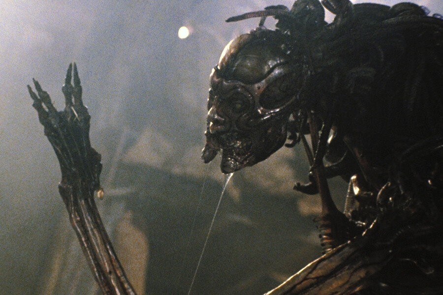Species II