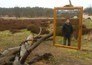 Spiegelbeeld