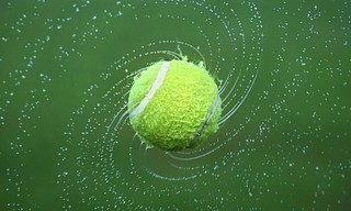 Tennis: ATP 250 - Libéma Open