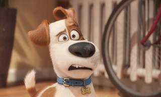 The Secret Life of Pets
