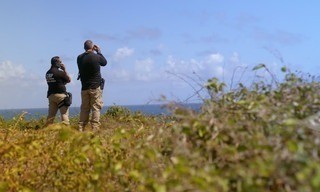 To catch a smuggler: Tropical takedown