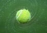 Tennis: ATP 250 - Libéma Open
