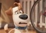 The Secret Life of Pets