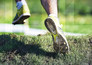 Trail running