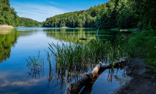 Wo Brandenburg am schönsten ist