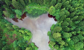 Wunderbare Waldwelt - Wie diese grünen Oasen zum Klimaschutz und zu unserer Gesundheit beitragen