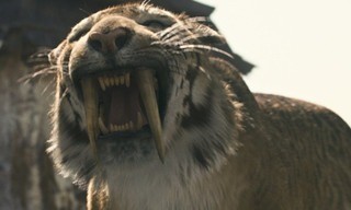 10,000 BC