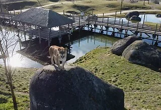Het echte leven in de dierentuin