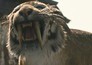 10,000 BC