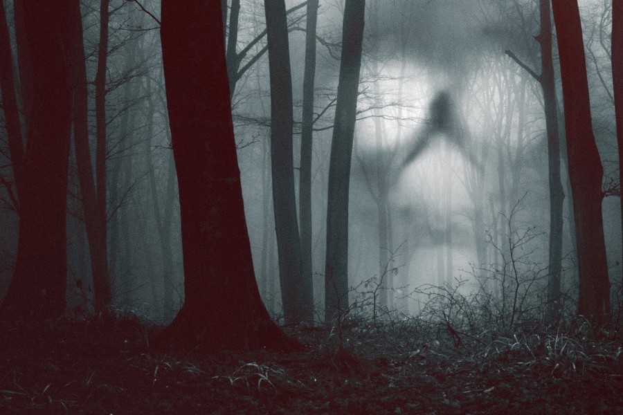 28 Days Haunted