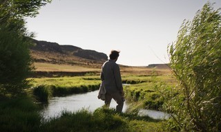 About Dry Grasses