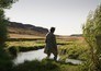 About Dry Grasses