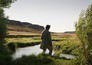 About Dry Grasses