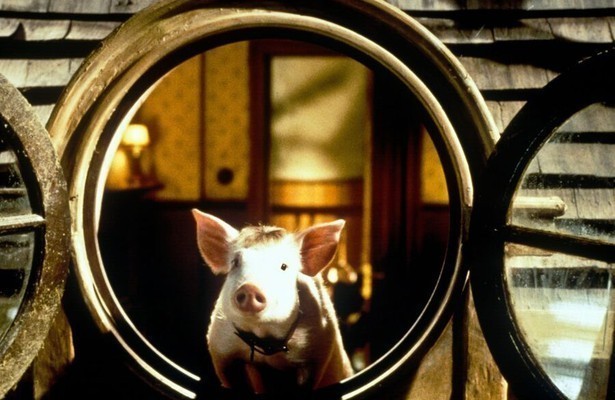 Still uit Babe: Pig in the City