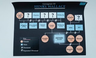 Bad Henry
