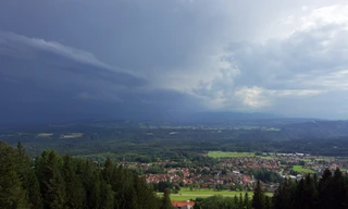 Bayerische Naturgeschichten