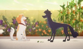 Belfort & Lupin