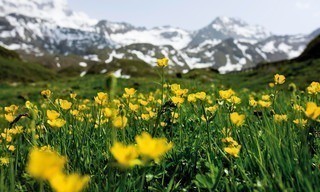 Bergsommer im Kaunertal