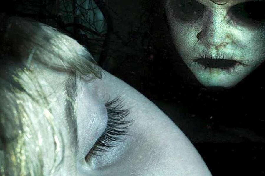 Before I Wake