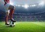 The phenomenon: The definitive story of Ronaldo