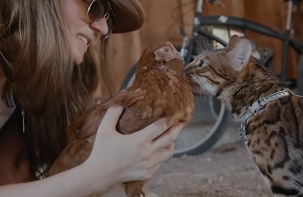 Cat People 