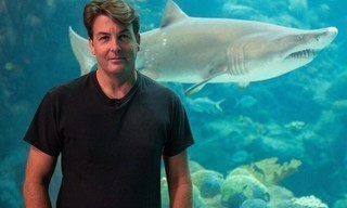 Cannibal sharks