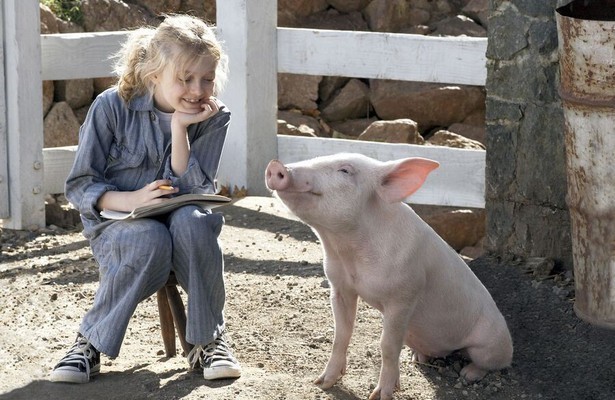  Charlotte's Web