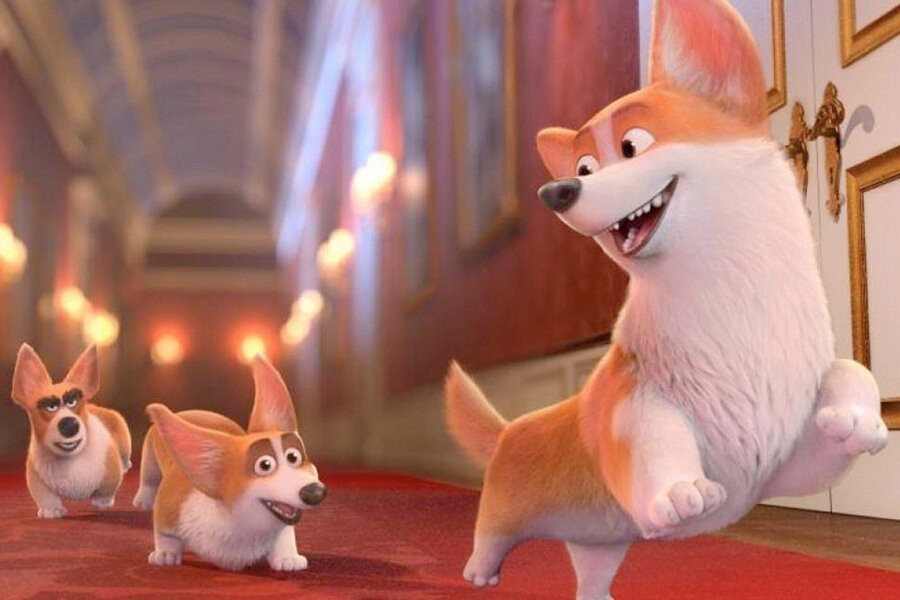 Corgi