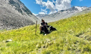 Das Ötztal im Kreis der Jahreszeiten: Sommer