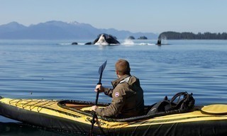 Deadly islands