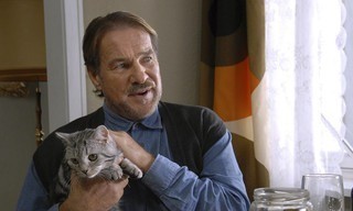 Die Katze