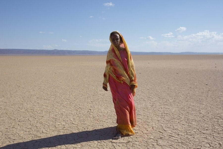 Desert Flower