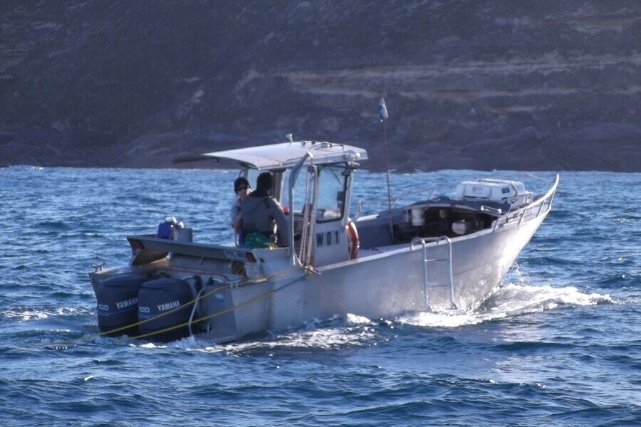 Dive wars Australia