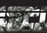 ESPN doc
