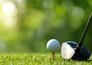 Golf: The Amateur Championship