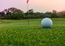Golf: The Dow Championship